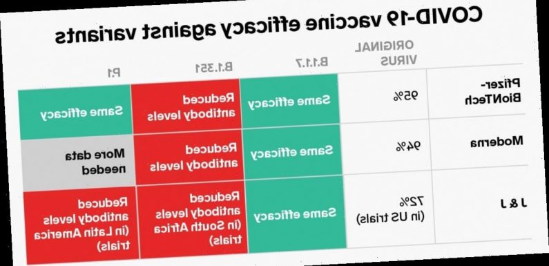 One chart shows how well COVID-19 vaccines work against the 3 most worrisome coronavirus variants