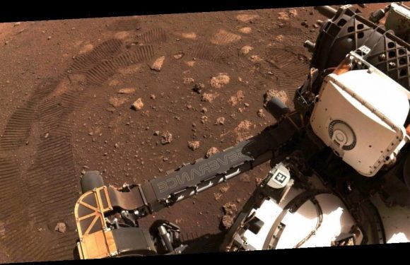 What is it like to drive the Perseverance rover remotely? A NASA engineer explains the challenges of piloting the vehicle's journey across Mars.