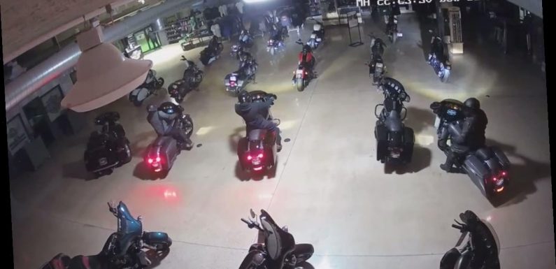 Indiana burglars steal Harley-Davidson motorcycles, drive out through front door