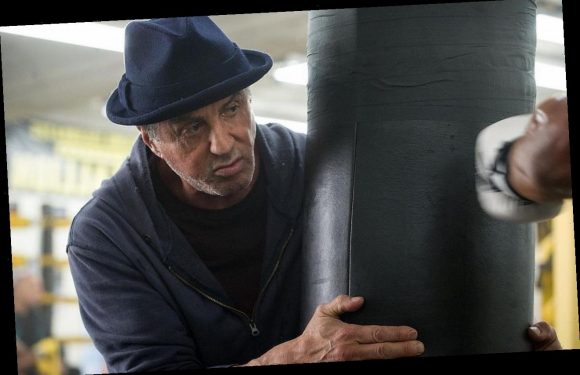 Sylvester Stallone Developing ‘Rocky’ Prequel TV Series