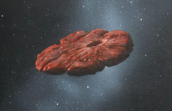 Why Oumuamua, the Interstellar Visitor, Looks Eerily Familiar