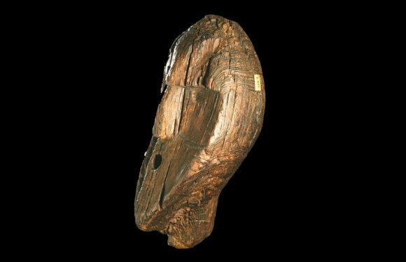 How the World’s Oldest Wooden Sculpture Is Reshaping Prehistory