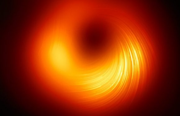 The Most Intimate Portrait Yet of a Black Hole