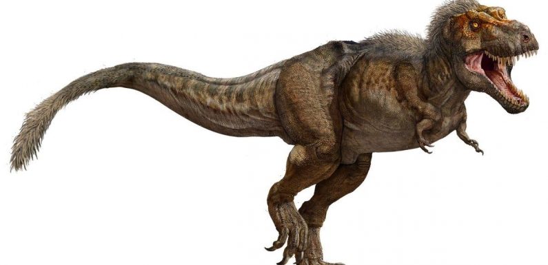 A whopping 2.5 billion fully grown T. rexes walked the Earth in the course of the species' existence, paleontologists found