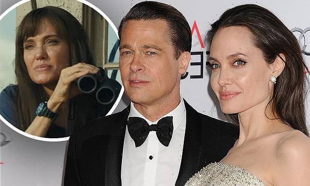 Angelina Jolie hints Brad Pitt divorce  left her 'broken'
