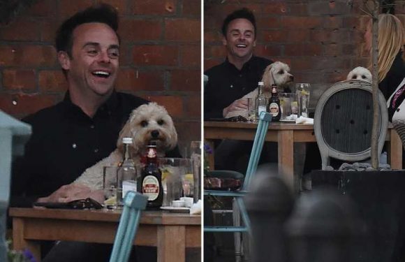 Ant McPartlin has a night out at the pub with fiancee Anne-Marie – and star sticks to soft drinks after driving ban