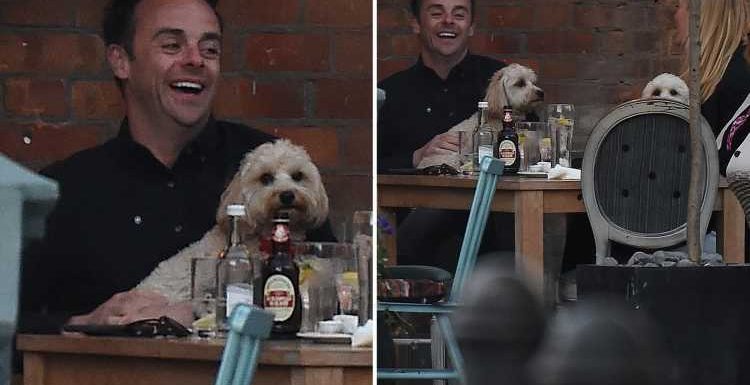 Ant McPartlin has a night out at the pub with fiancee Anne-Marie – and star sticks to soft drinks after driving ban