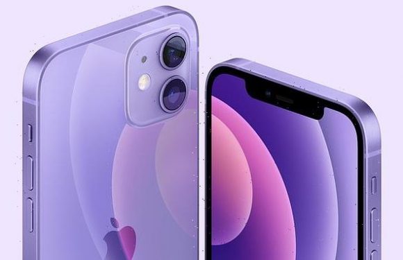Apple reveals PURPLE iPhone 12 and new iMac in seven different shades