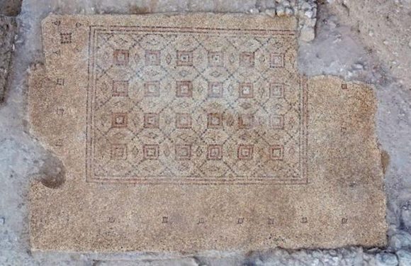 Archaeology news: ‘Astonished’ Israel excavators expose 1,600-year mosaic in Biblical city