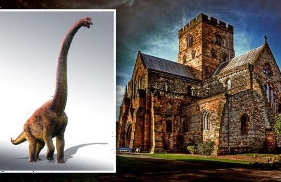 Dinosaur carving found on Middle Ages tomb proves evolution is WRONG, claims Bible expert