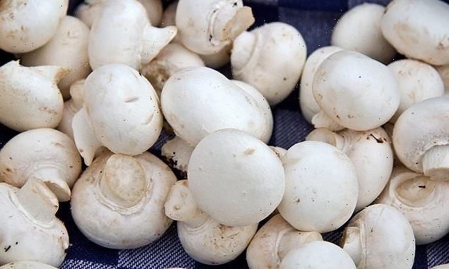 Eating one medium mushroom a day can reduce your risk of CANCER by 45%