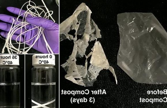 First truly biodegradable PLASTICS developed