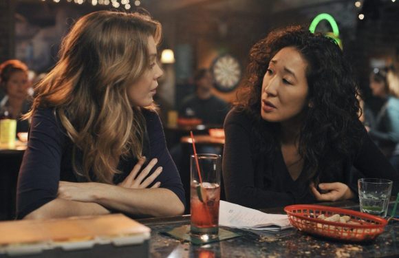 'Grey's Anatomy" Sandra Oh's Return as Cristina Yang Unlikely, But Fans Have a Clever Idea