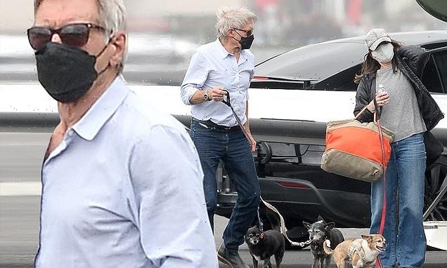 Harrison Ford and Calista Flockhart spotted exiting private plane