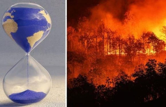 Humanity on the brink: Scientists warn decreasing biodiversity will lead to ‘catastrophe’