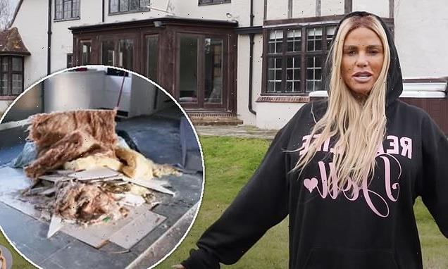 Katie Price 'in talks for Changing Rooms-style show' for mucky mansion