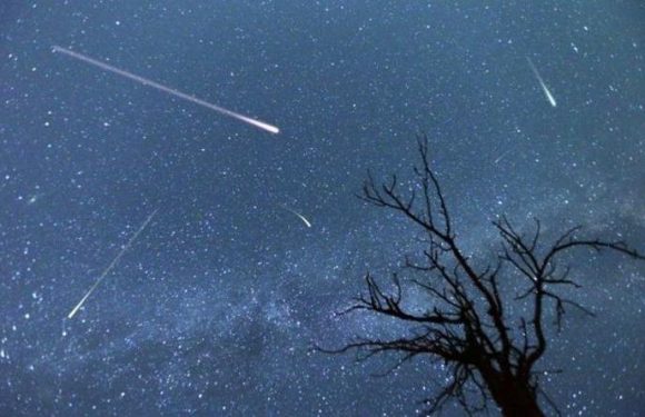 Lyrids meteor shower 2021: Where to see the shooting stars this week