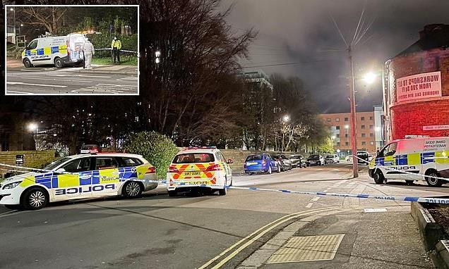 Man, 30, shot dead and another, 31, wounded in Sheffield