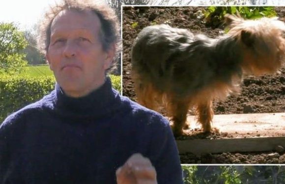 Monty Don Gardeners’ World demo derailed by pet terrier Patti: ‘Gonna have to move’