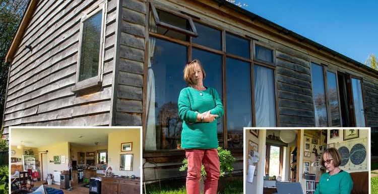 Mum, 66, faces being kicked out on the streets after council orders her to tear down £59k cabin home of seven years