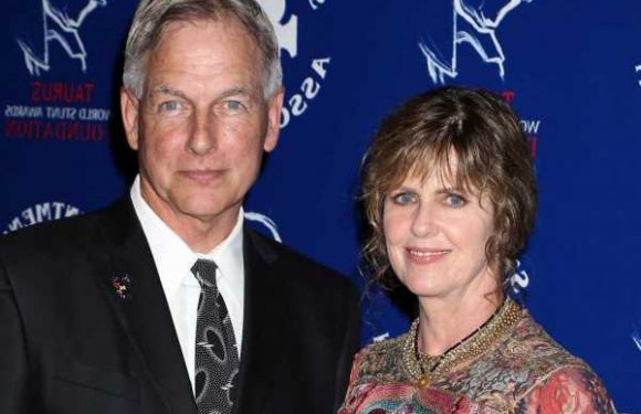 'NCIS': Is Mark Harmon the Reason Pam Dawber Doesn't Act Full-Time?