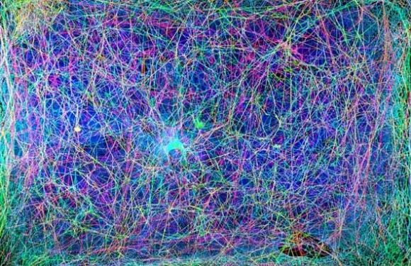Scientists have translated the structure of a web into music