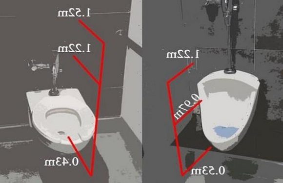 Scientists reveal how aerosols from a toilet flush linger for 20s
