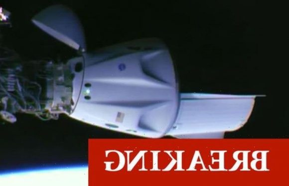 SpaceX Dragon docks with International Space Station in ground-breaking Elon Musk success