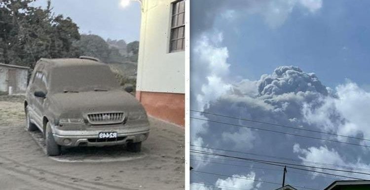St Vincent volcano eruption: La Soufriere showers Caribbean with ash after explosive event