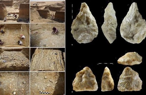 Stone tools used by homo erectus found in abandoned Sahara goldmine