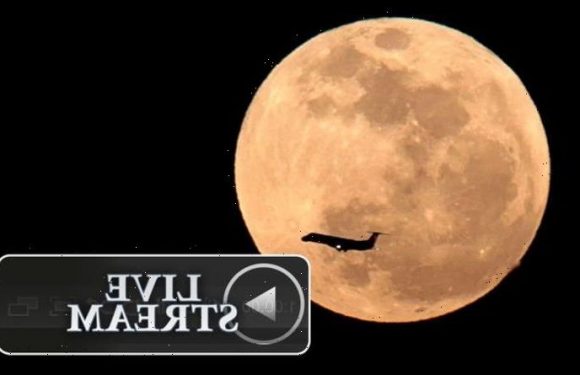 Supermoon LIVE stream: Watch the ‘stunning experience’ of Pink Moon live online tonight