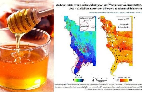 US Honey has traces of radioactive fallout from nuclear bomb testing