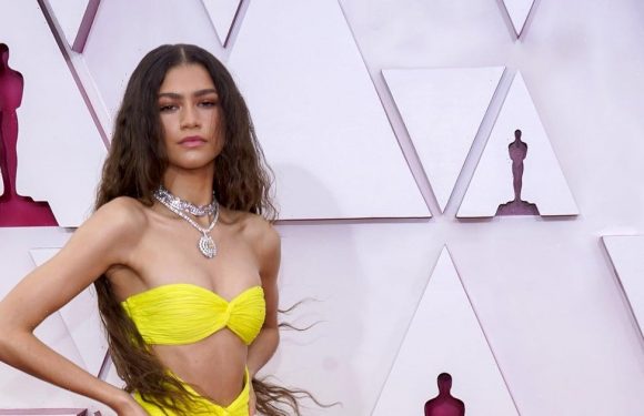 Wait a Second, Zendaya's Oscars Dress Glows in the Dark?!