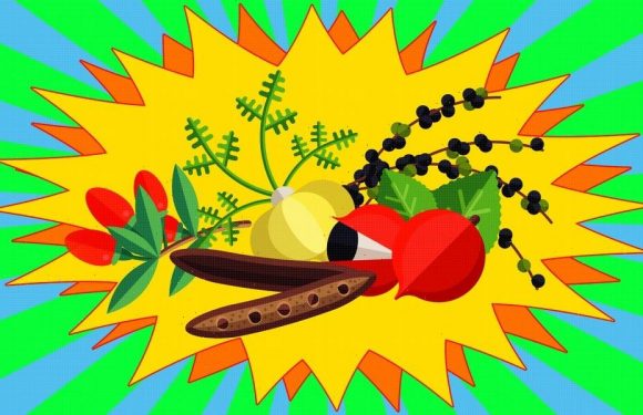 What people get wrong about superfoods
