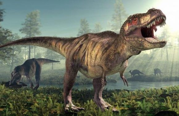 When dinosaurs ruled the Earth: Billions of T.rexes once prowled North America – study