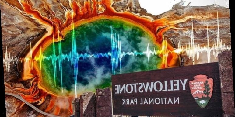 Yellowstone volcano: 105 earthquakes rock supervolcano amid fears it’s overdue an eruption