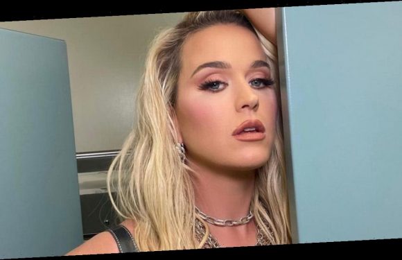 Katy Perry sizzles in plunging leather dress while posing on the toilet
