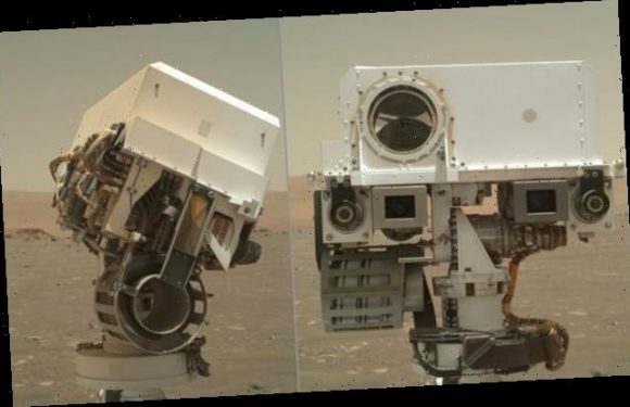 NASA's Perseverance rover snaps selfies of its 'head' and 'face'