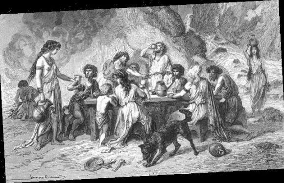 Bronze Age dogs a 'virtually' no meat