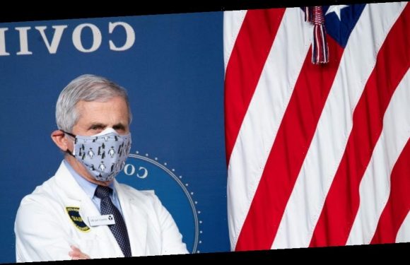 Anthony Fauci reveals which activities he will and won't do now that he's vaccinated — and indoor restaurants are still a no