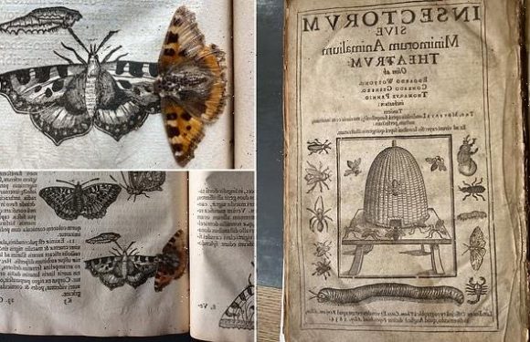 400-YEAR-old butterfly found in an ancient Cambridge University book