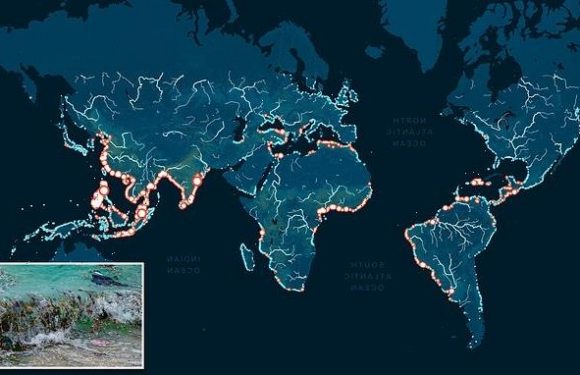 80% of all ocean plastics come from 1,000 rivers, study finds