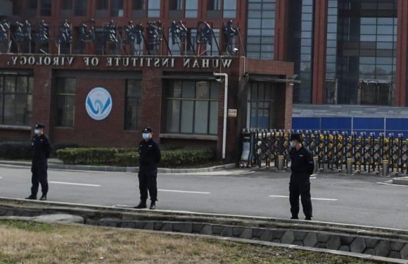 A lab leak in Wuhan versus a natural hop from bats: Evidence for each theory of the coronavirus pandemic's origin