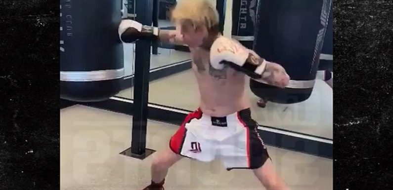 Aaron Carter Shows Off Improving Jab In New Workout Vid, Message To Lamar?!