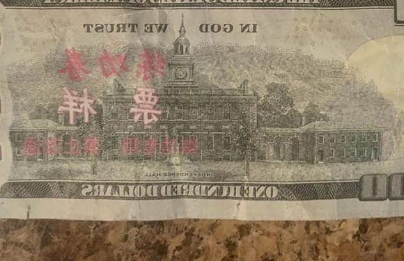 Annual testicle-eating festival ruined by fraudsters paying with fake money