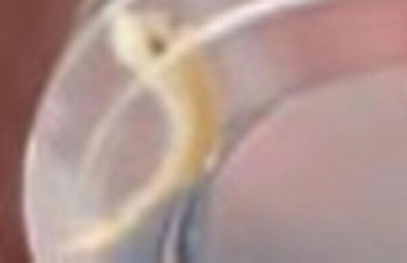 Bloke stuns Facebook with amazing claim dead fish came shooting out of mum’s tap