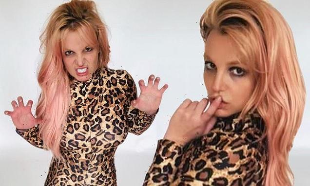 Britney Spears Shows Off Her Wild Side In A Leopard Bodysuit