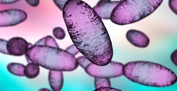 Bubonic plague had long-term effects on immunity – research
