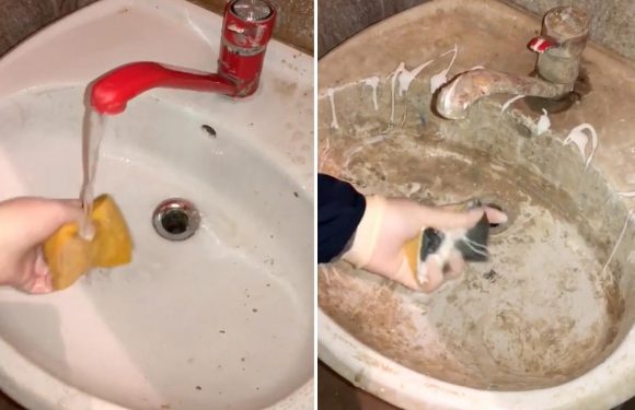 Cleaning fan transforms FILTHY sink which hasn’t been washed in 30 years using £1 product & it looks good as new