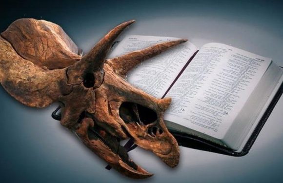 Dinosaur ‘missing link’ puts a major dent in theory of evolution, claims Bible expert